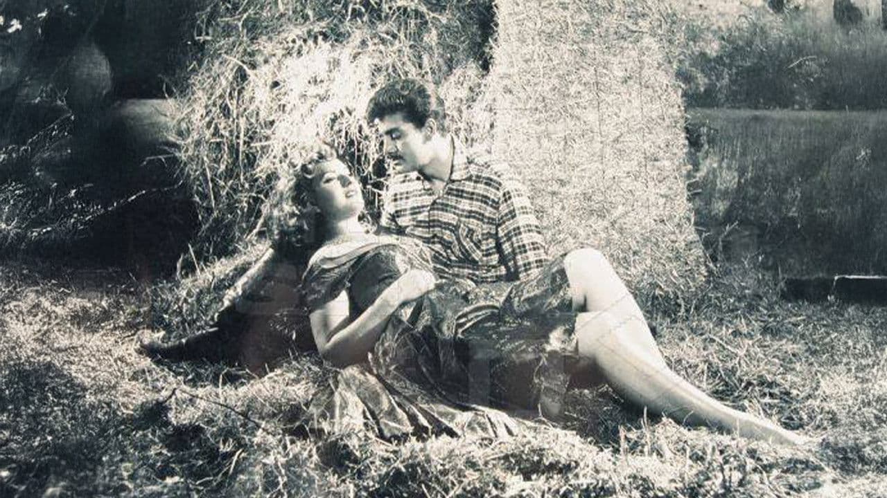 Tilki Lemanの背景画像