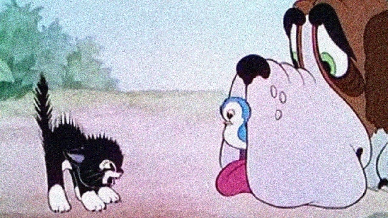 More Kittensの背景画像