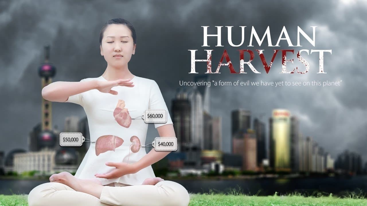 Human Harvestの背景画像