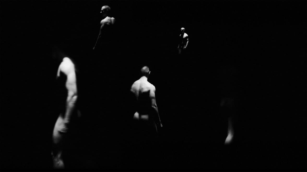 VISCERALの背景画像