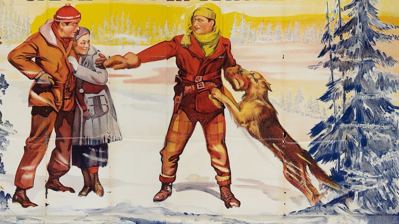 The Testの背景画像