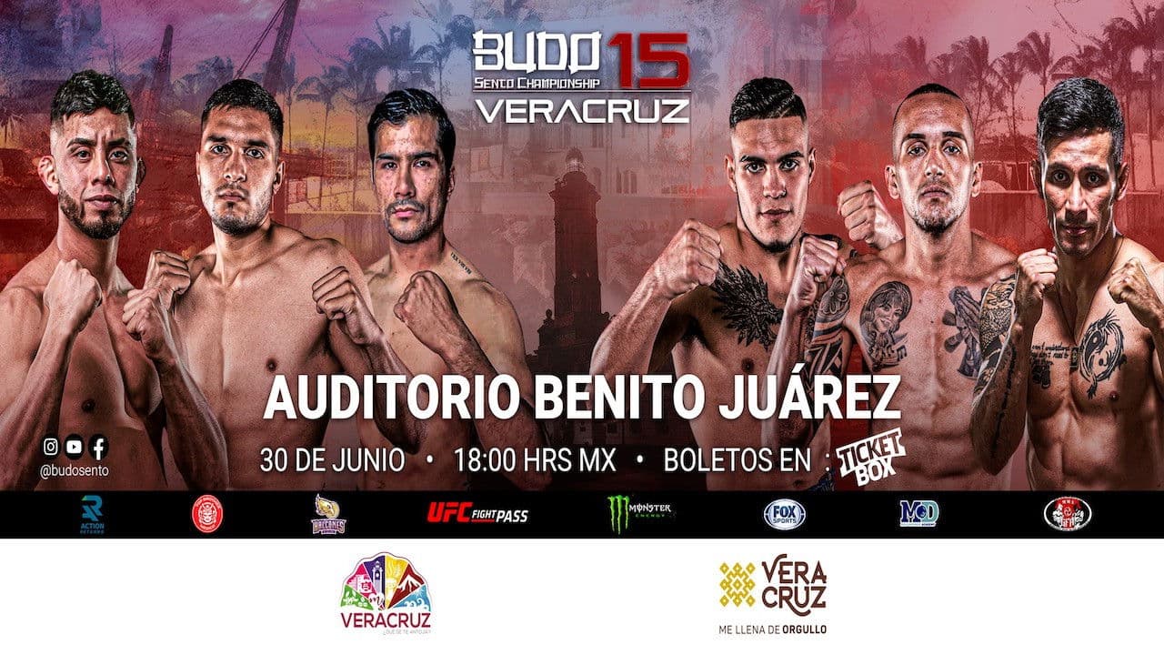 Budo Sento Championship 15の背景画像