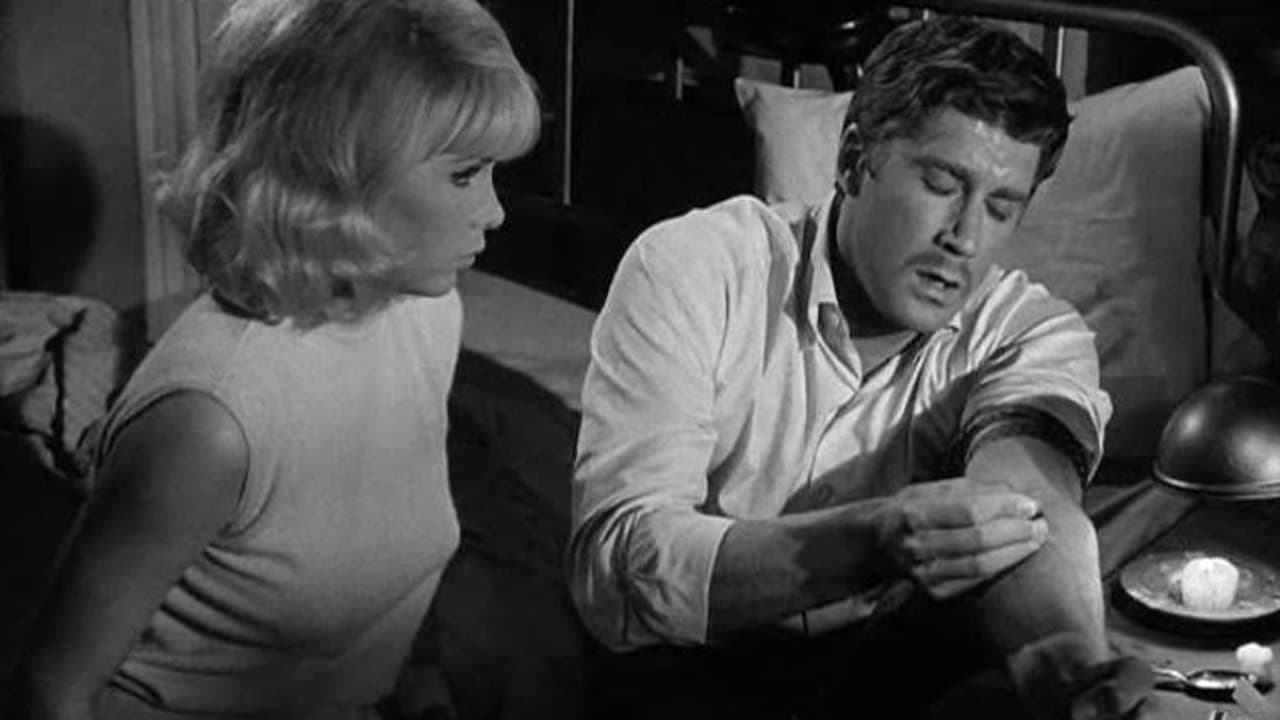 Synanonの背景画像