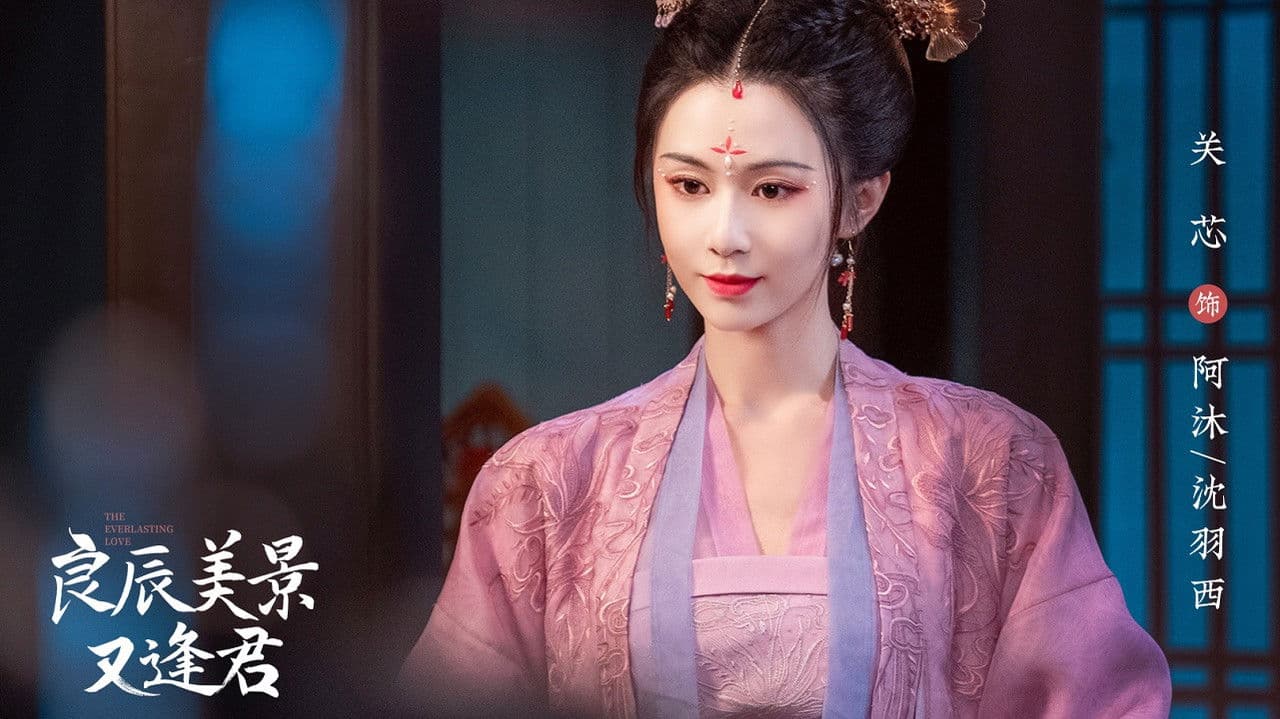 良辰美景又逢君の背景画像