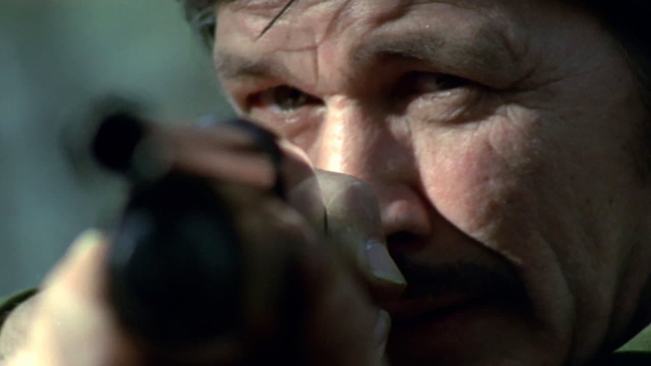 Città violentaの背景画像