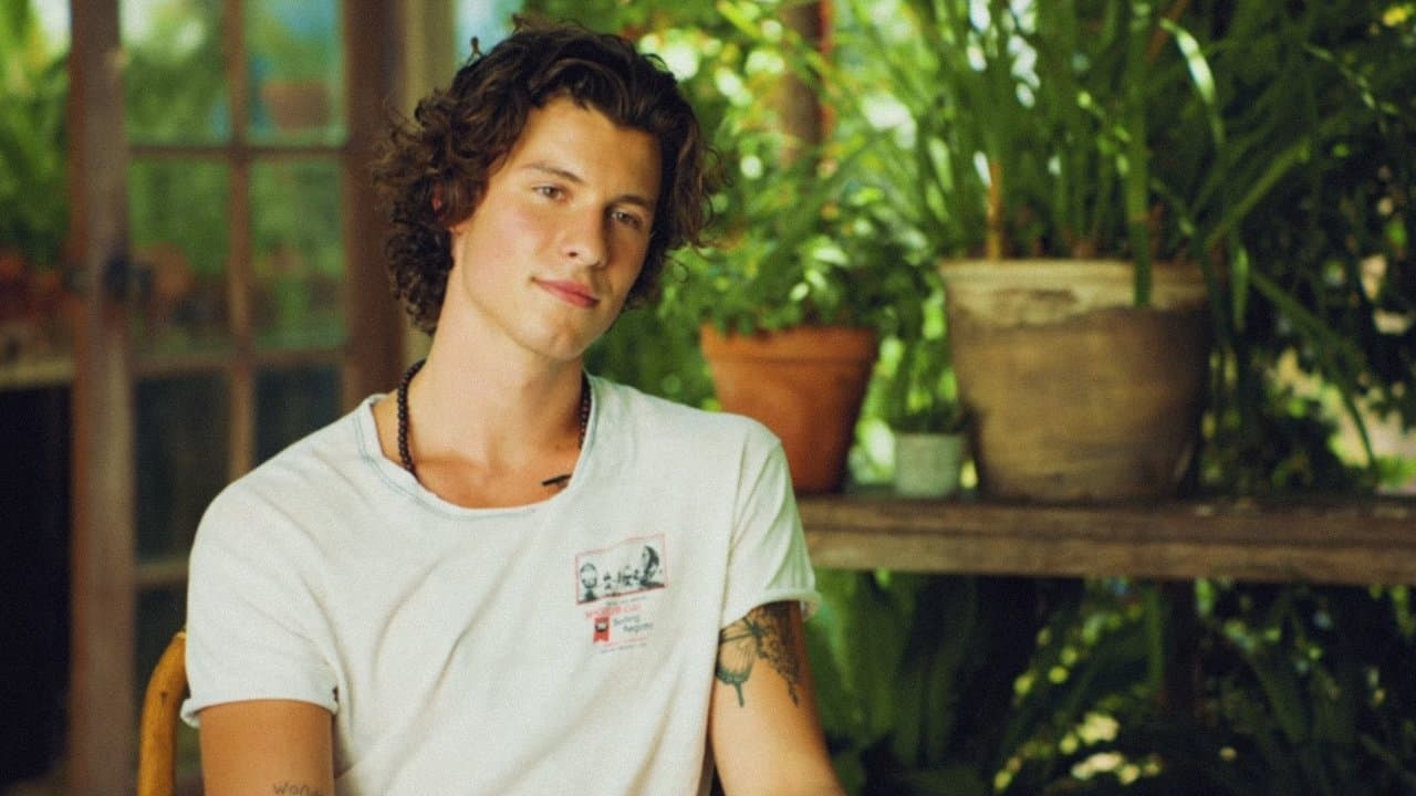 Shawn Mendes: The Wonder Interviewの背景画像