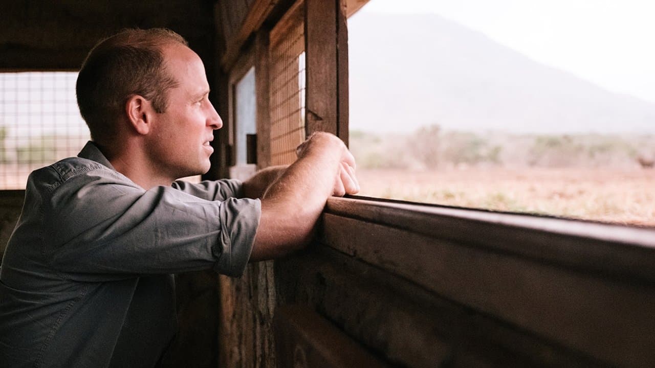 Prince William: A Planet For Us Allの背景画像