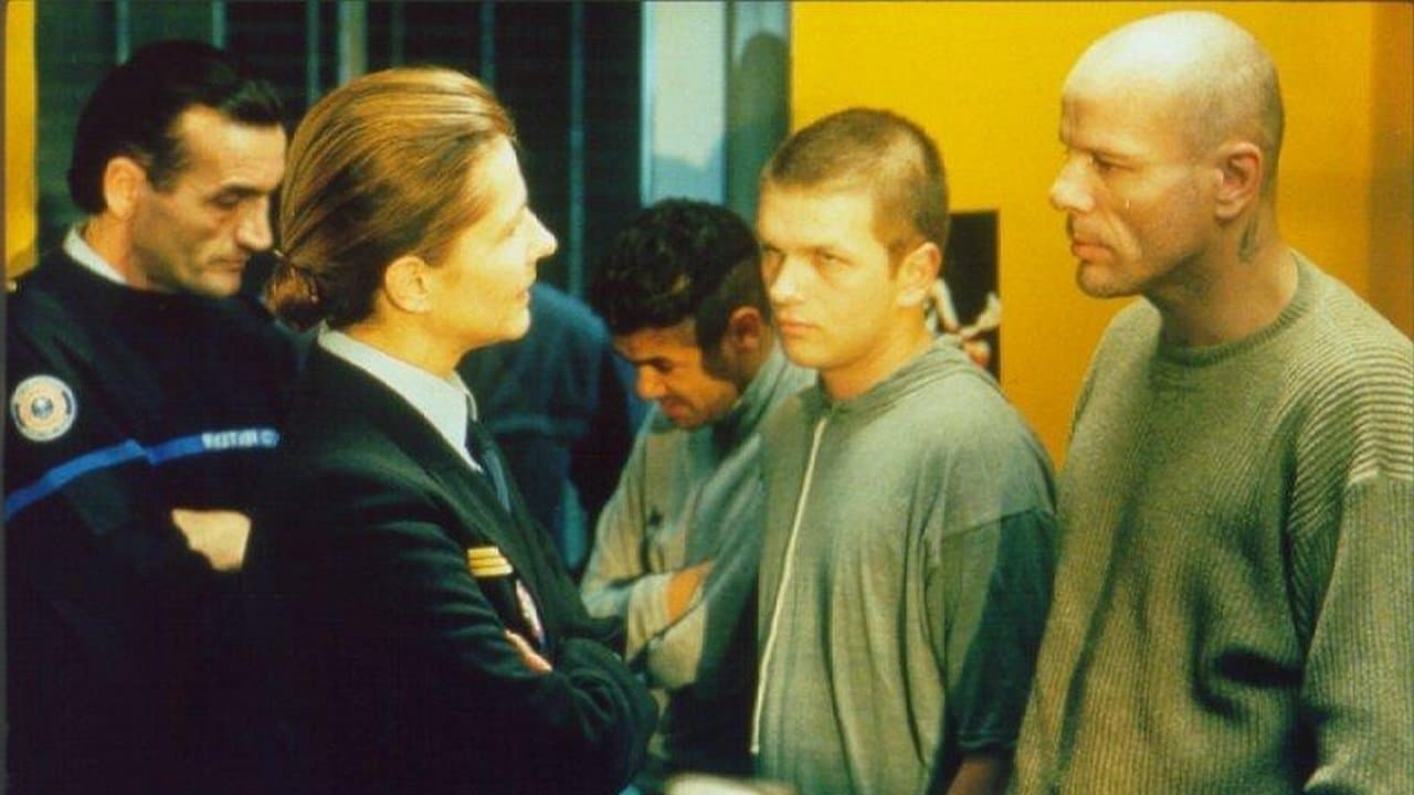 Zonzonの背景画像