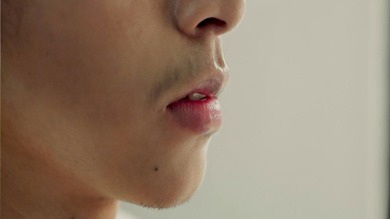 Wanodyaの背景画像