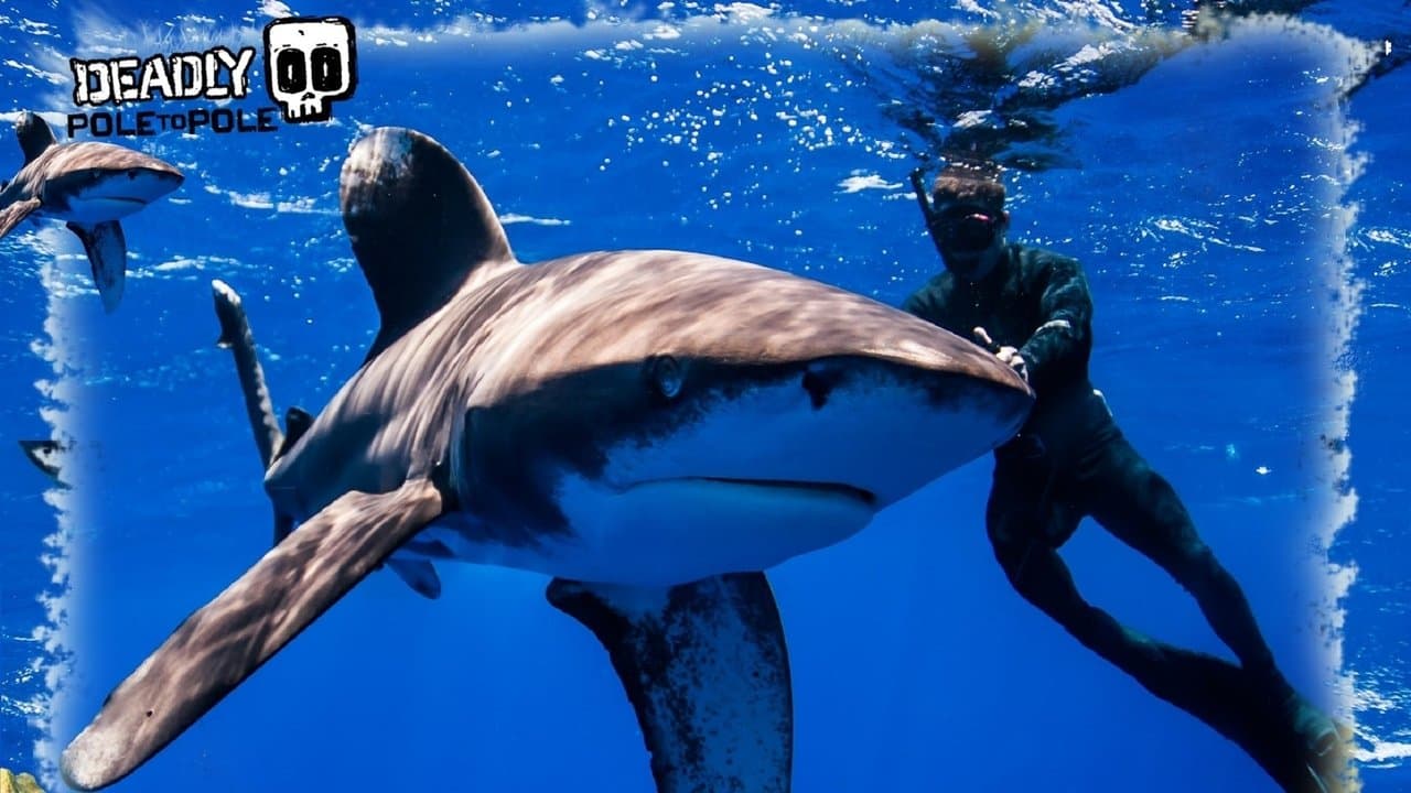 Deadly Pole to Poleの背景画像