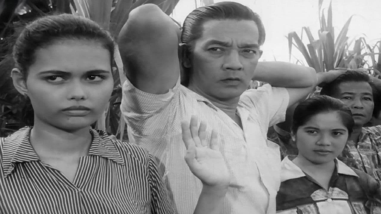 The Moises Padilla Storyの背景画像