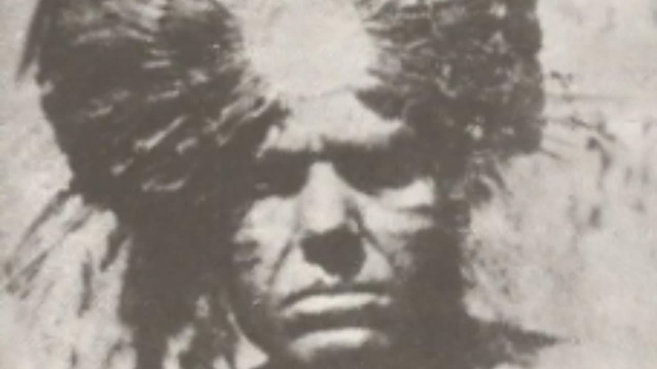 Ubirajaraの背景画像