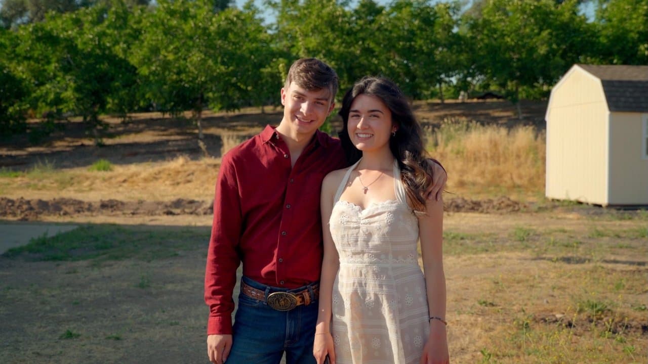 The Tripの背景画像