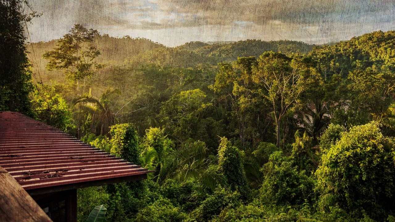 The Cannibal in the Jungleの背景画像