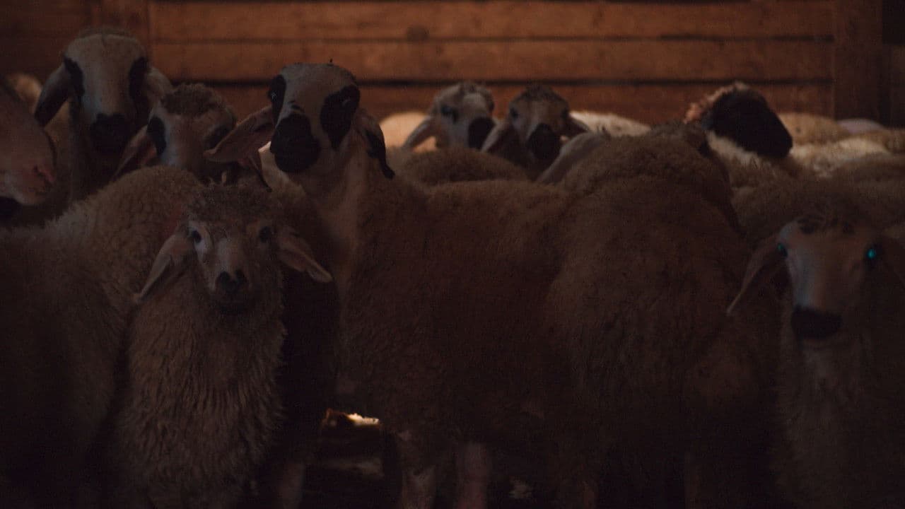 Çiçekの背景画像