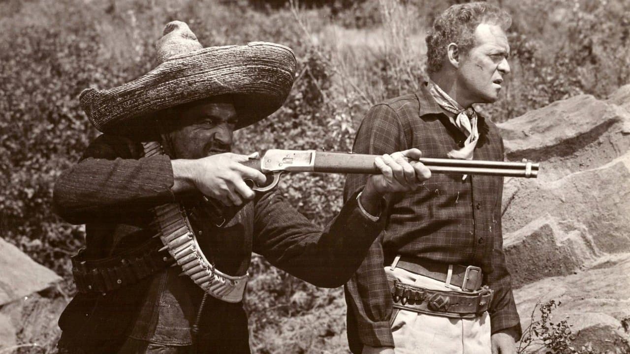 Wings of the Hawkの背景画像