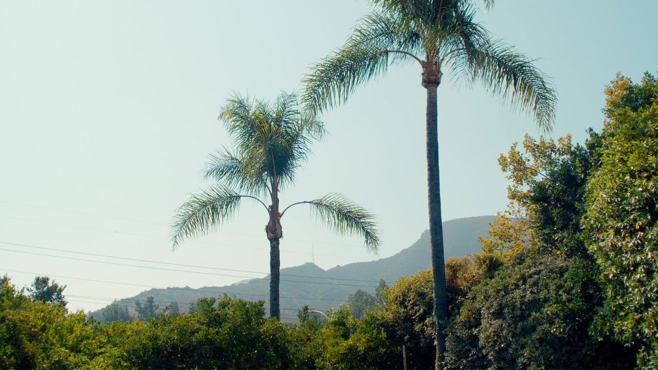 Big Funの背景画像