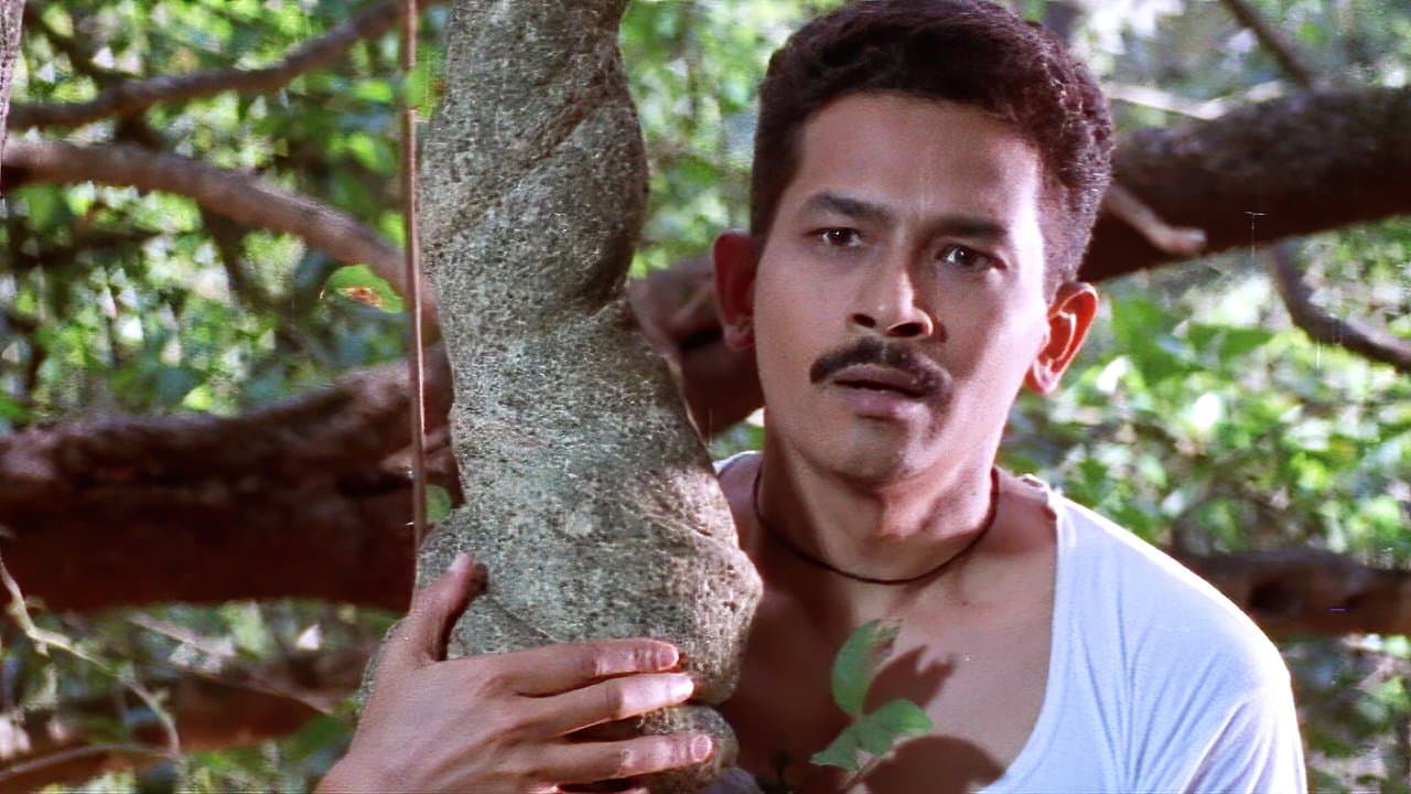 देवराईの背景画像