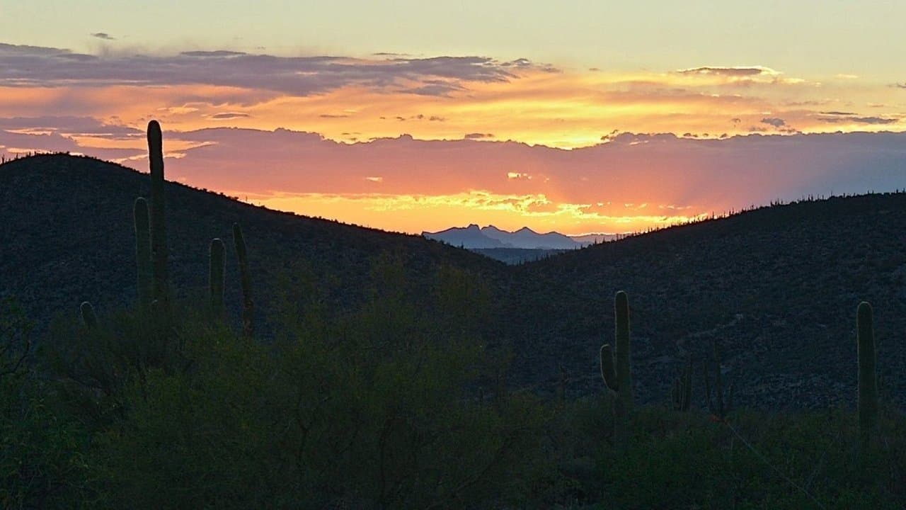 Misfortuneの背景画像