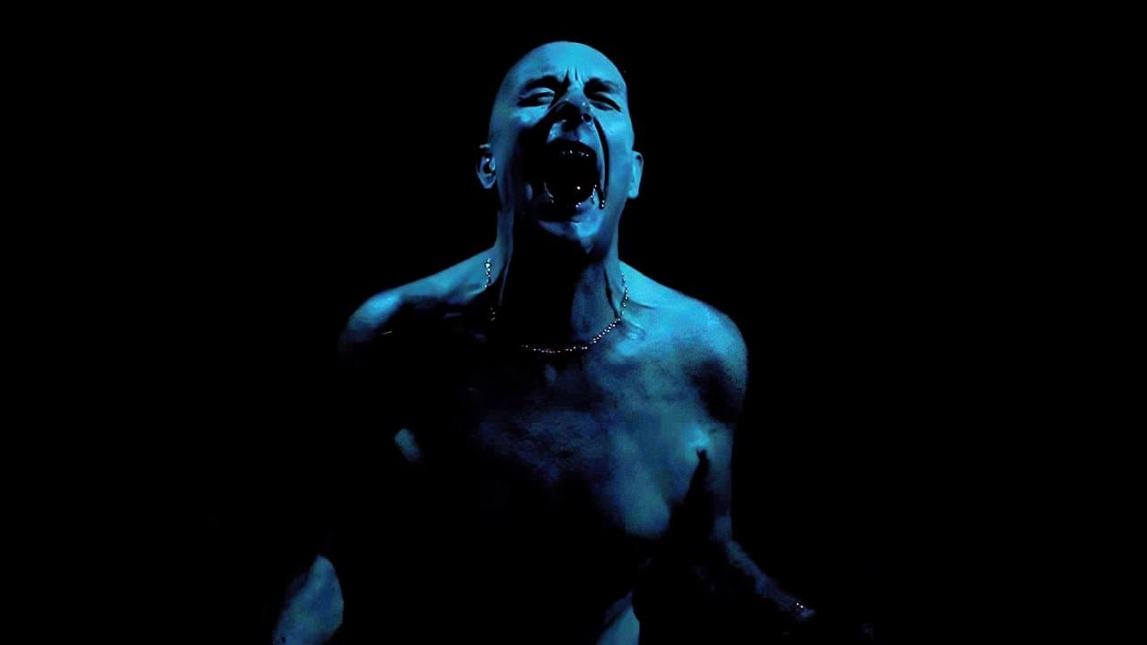 The Truth Will Outの背景画像