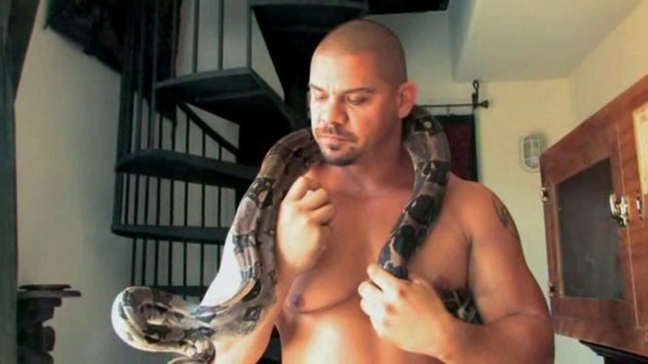 The Butch Factorの背景画像