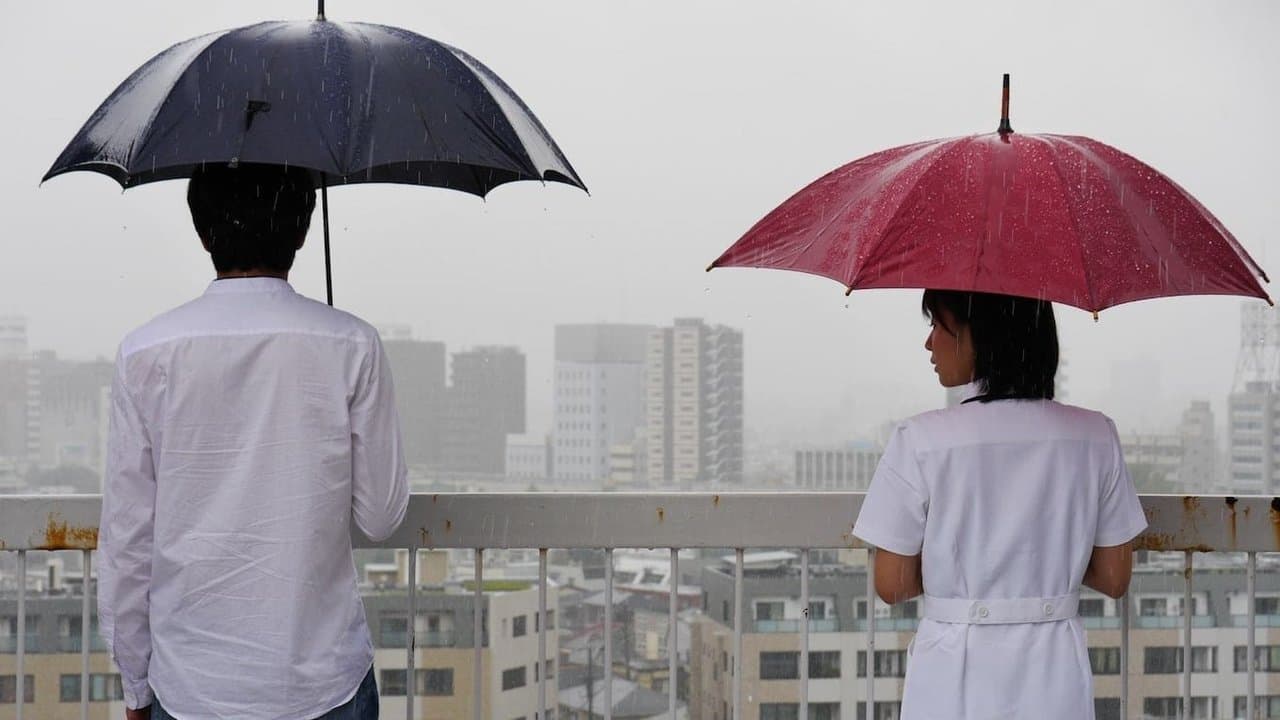 君にあえたら 妻の恋人の背景画像