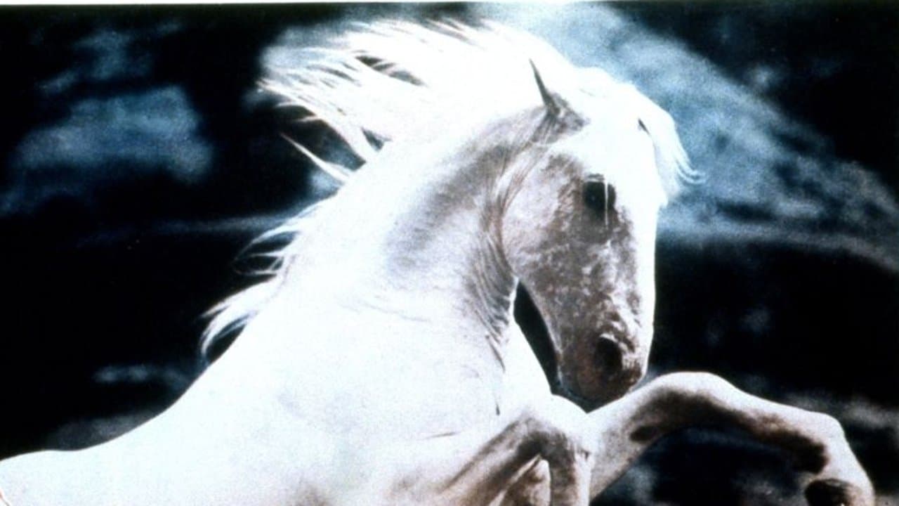Silver Stallionの背景画像