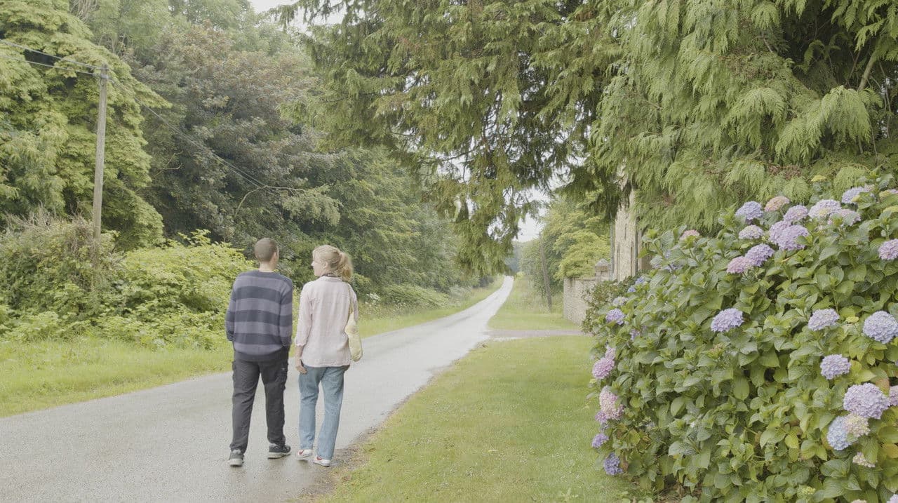 See You Later, Strangerの背景画像