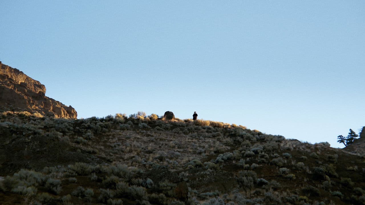 A Fools Paradiseの背景画像