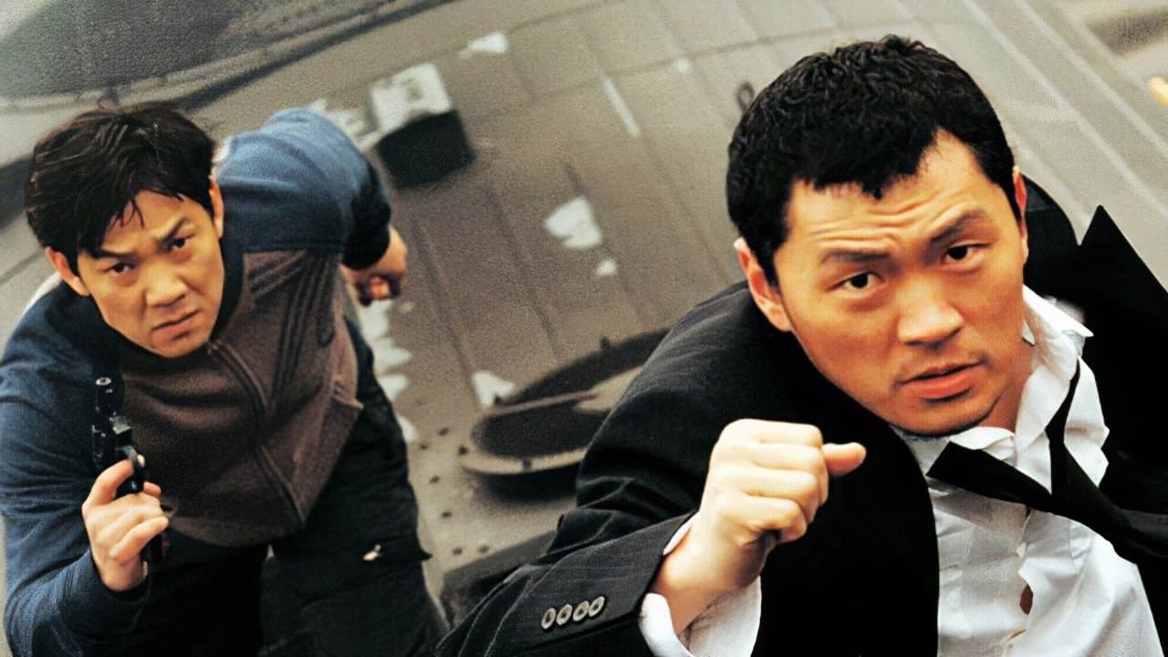 와일드 카드の背景画像