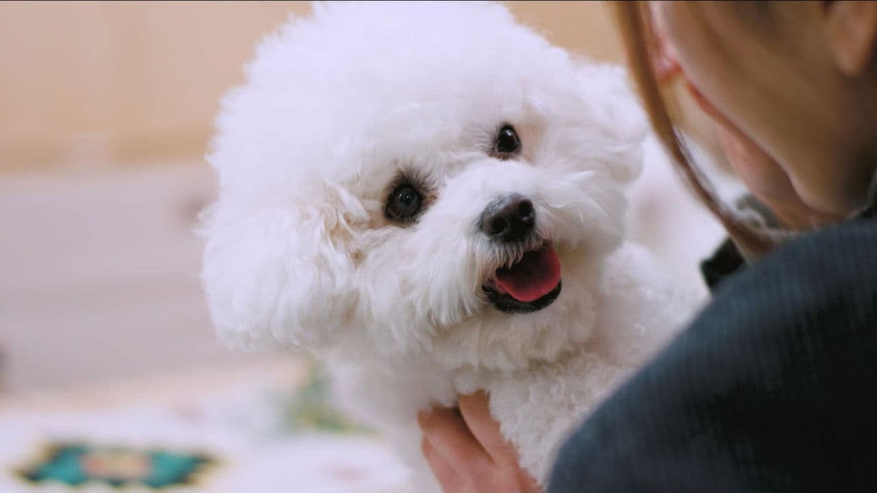 해피해피の背景画像