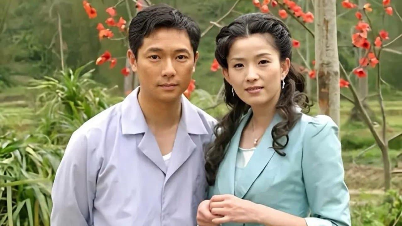 木棉花的春天の背景画像