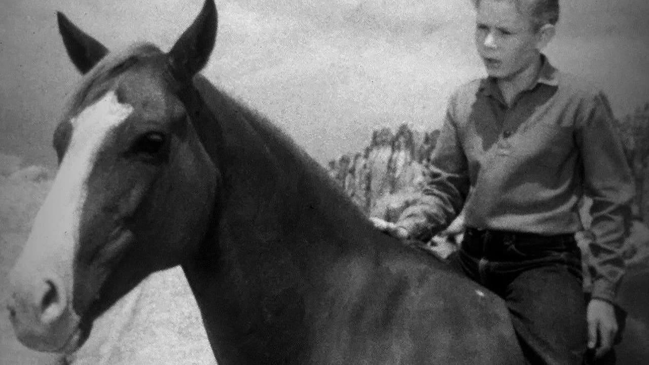 The Adventures of Championの背景画像