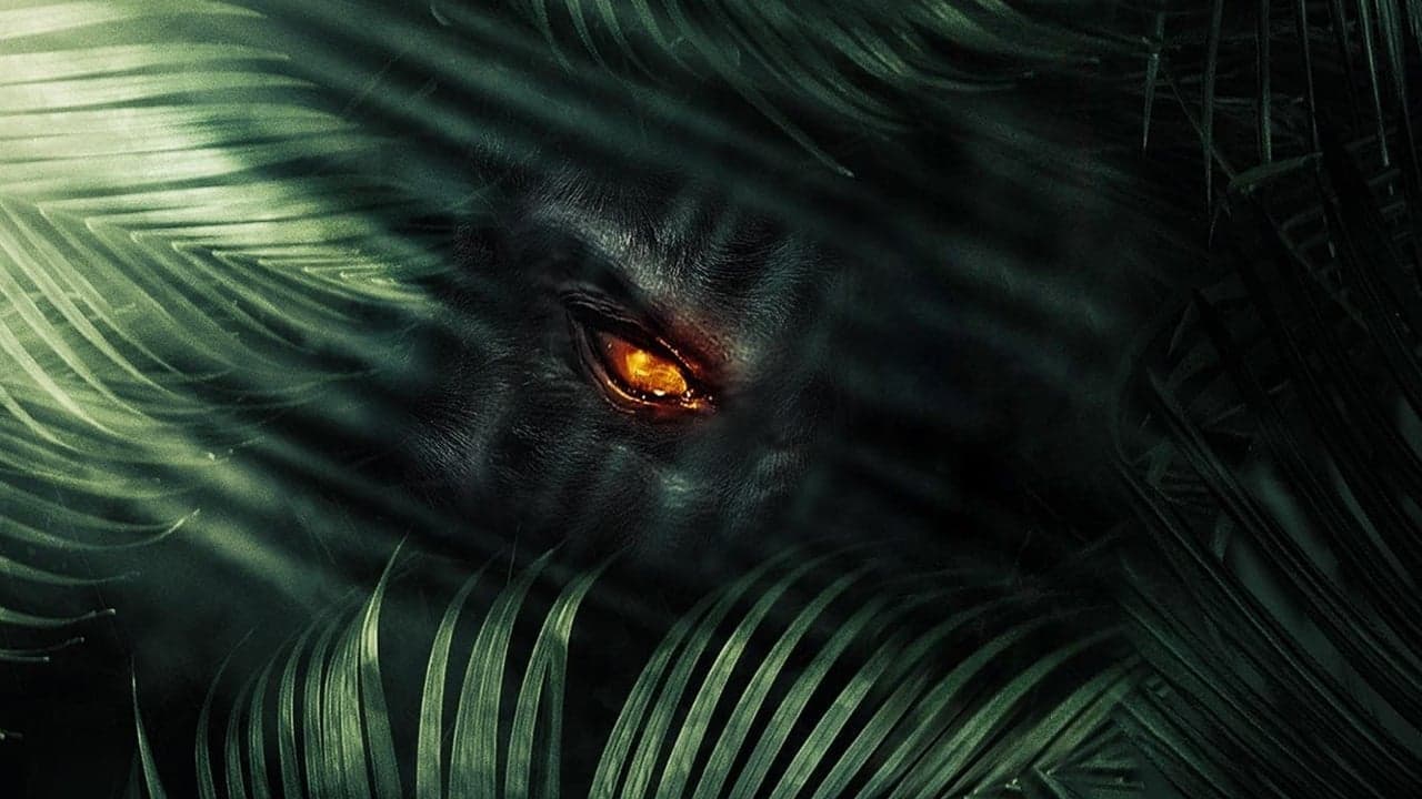 ジャングル －不滅－の背景画像