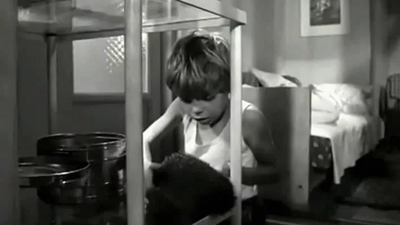 Компаньеросの背景画像