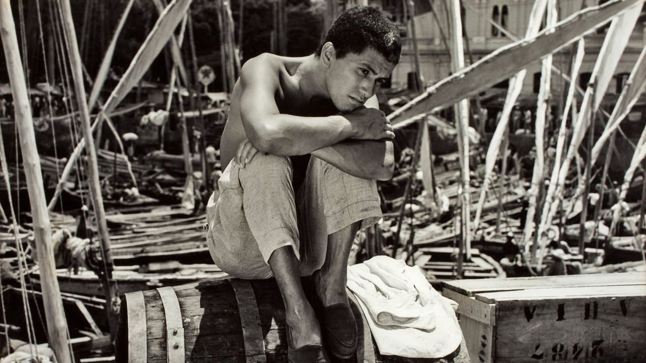 Bahia de Todos os Santosの背景画像