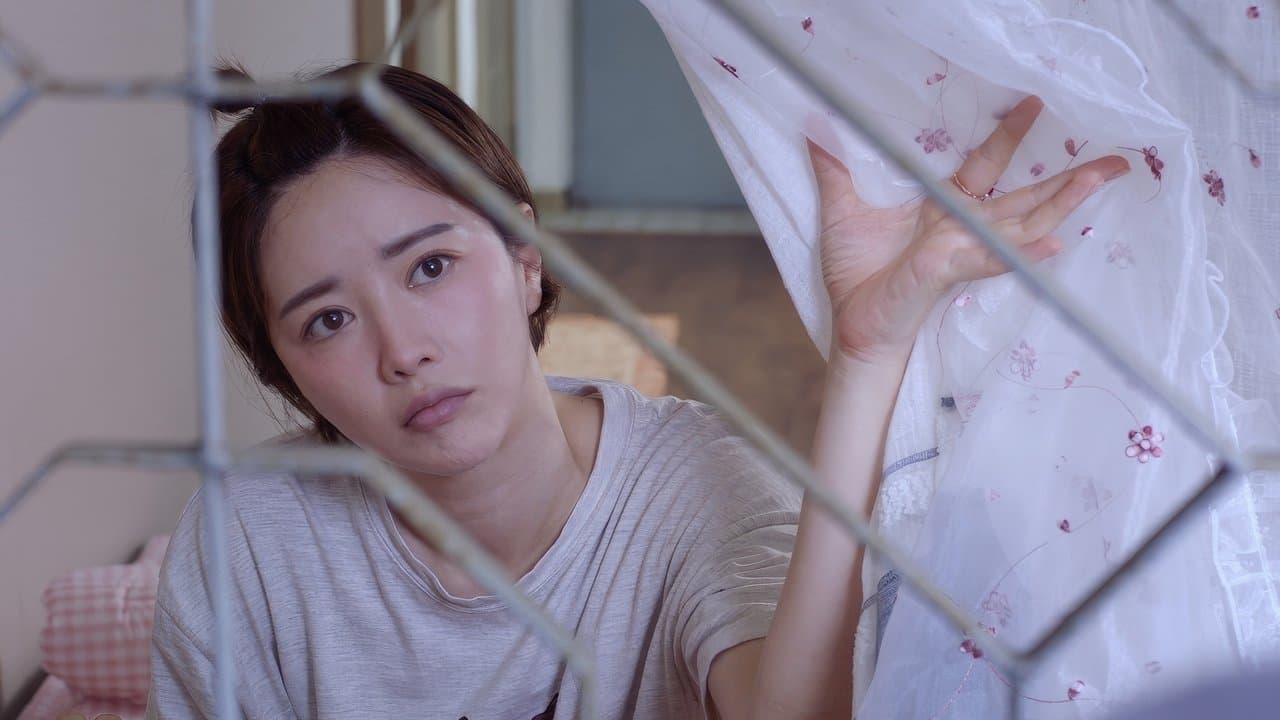 나비효과の背景画像
