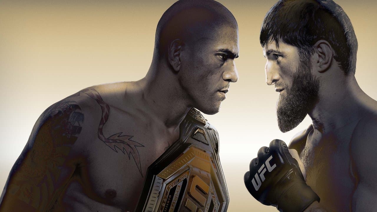 UFC 313: Pereira vs. Ankalaevの背景画像