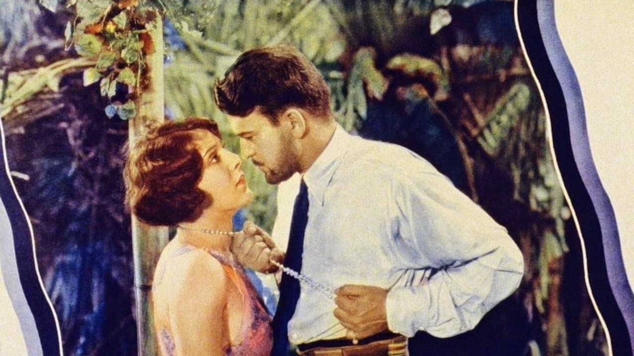 Tropical Nightsの背景画像