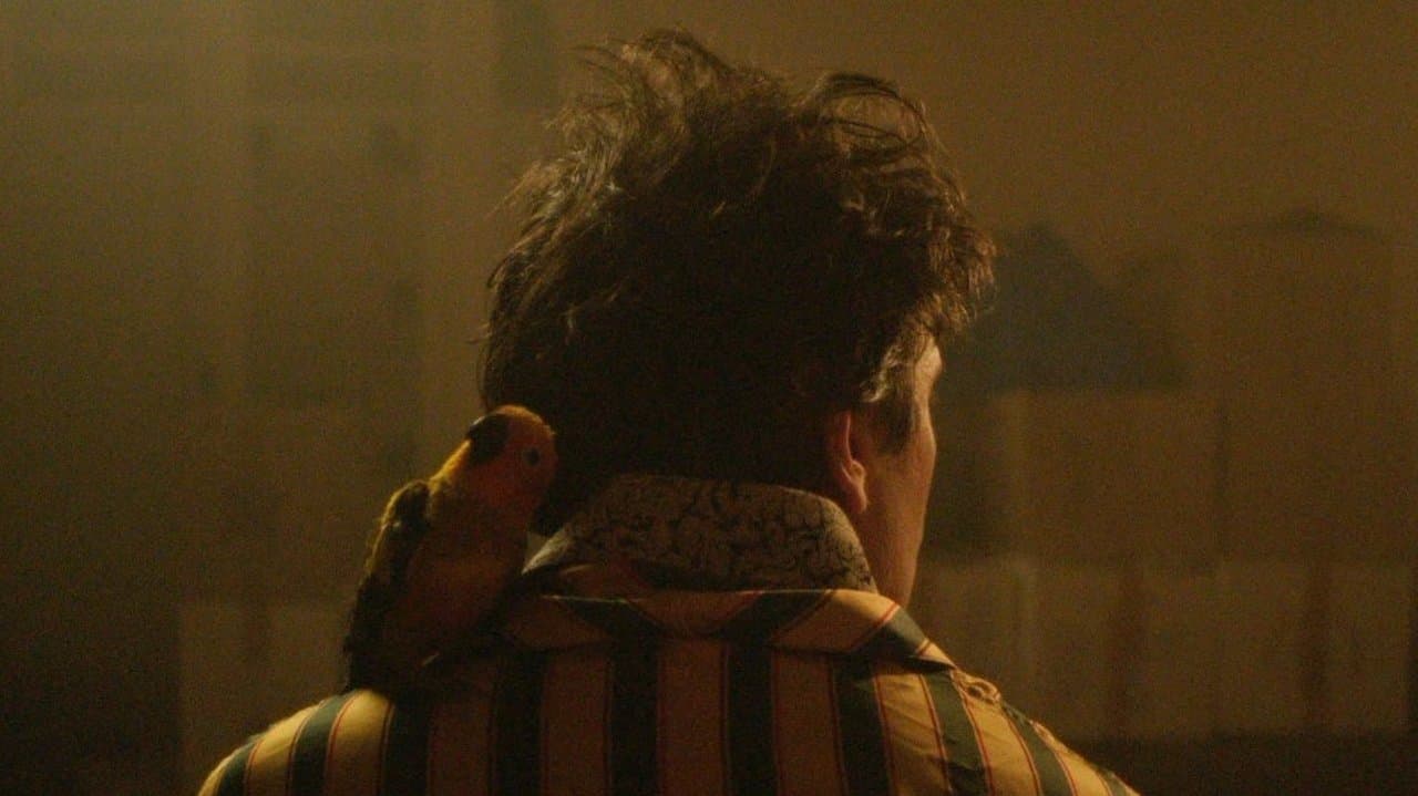 Le Ciel étoilé au-dessus de ma têteの背景画像