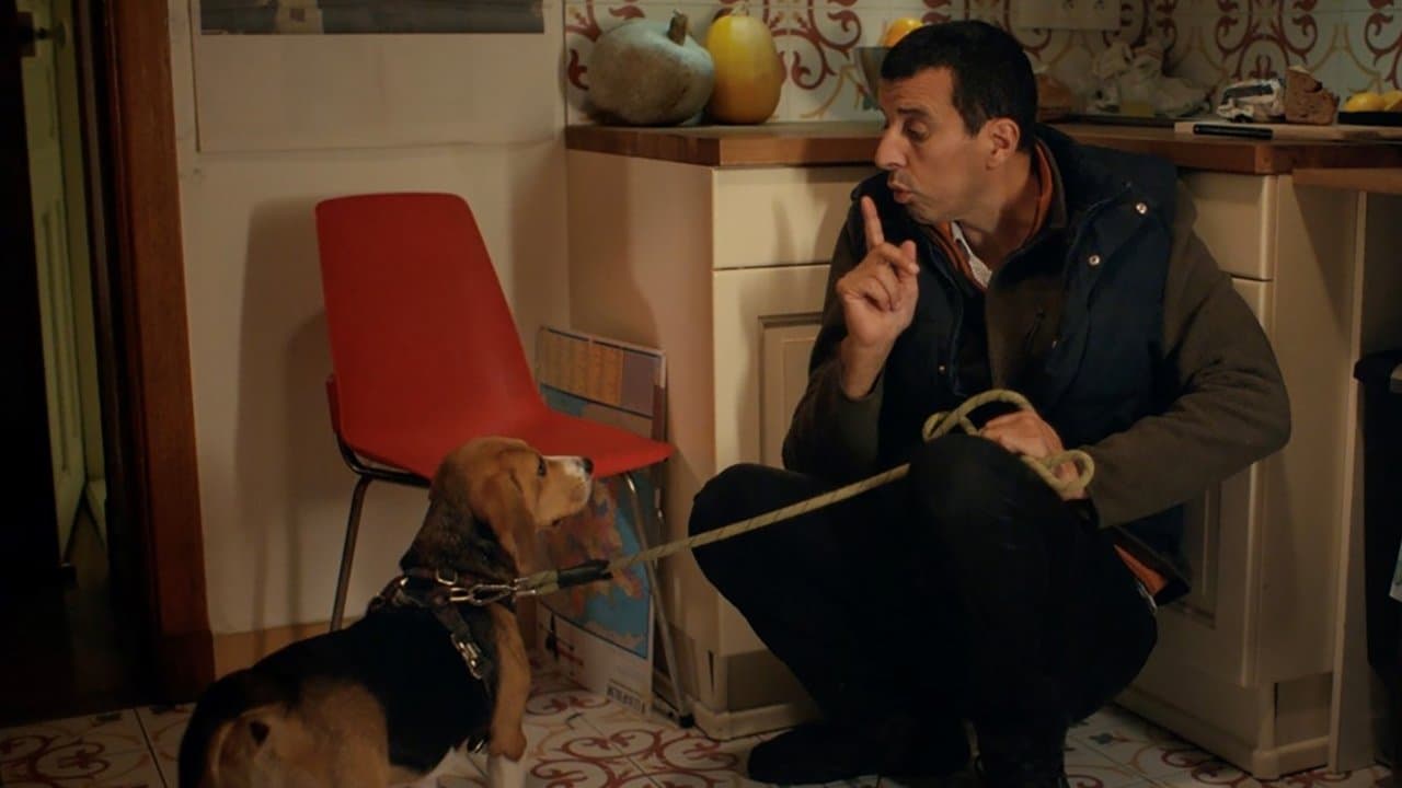 Le Dogsitter (Maintenant que je suis un fantôme)の背景画像