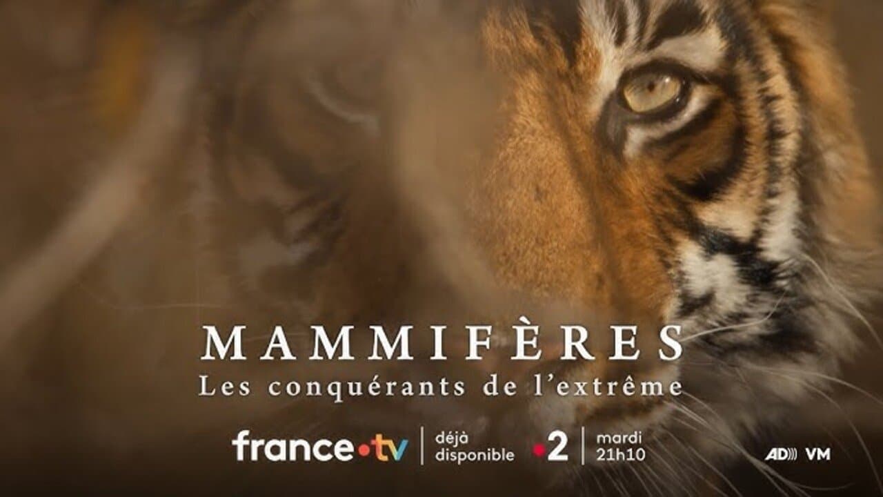 Mammifères, les conquérants de l'extrêmeの背景画像