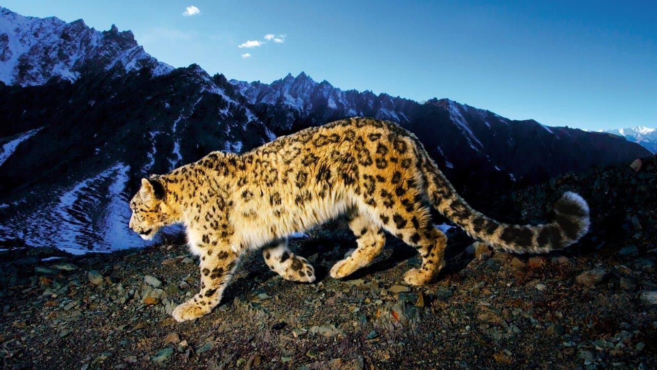 Explorerの背景画像