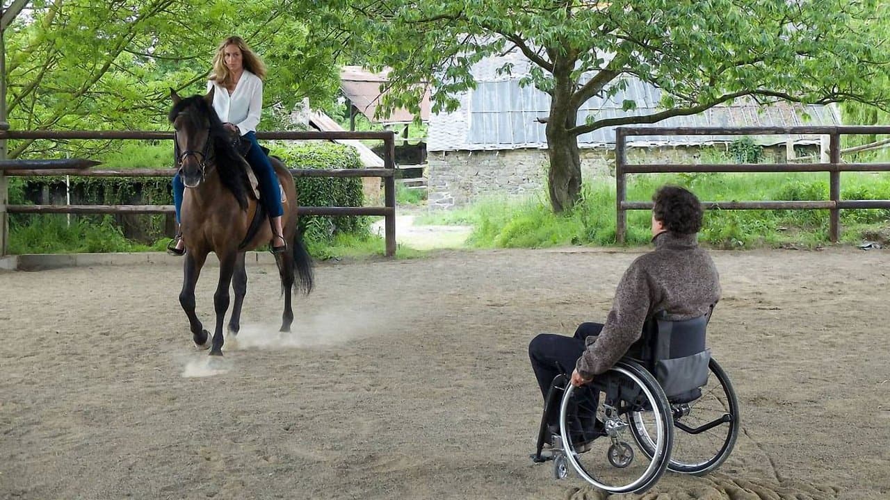 En équilibreの背景画像