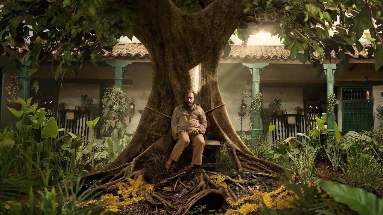 百年の孤独の背景画像