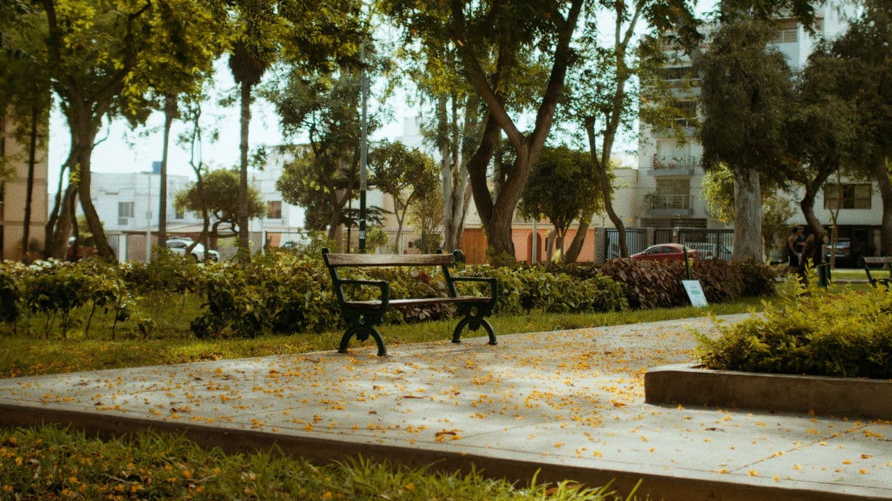 El Instanteの背景画像