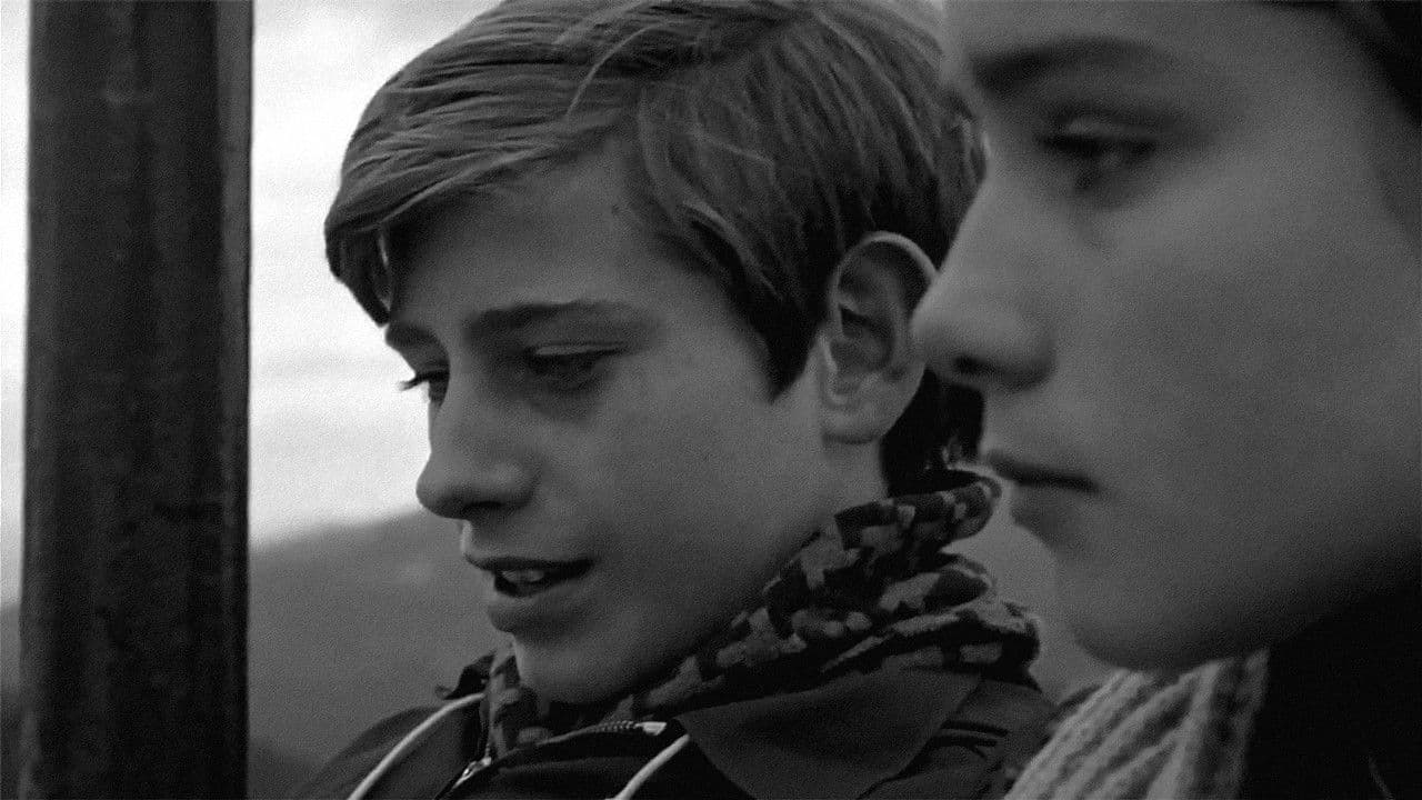 Adiós, cigüeña, adiósの背景画像