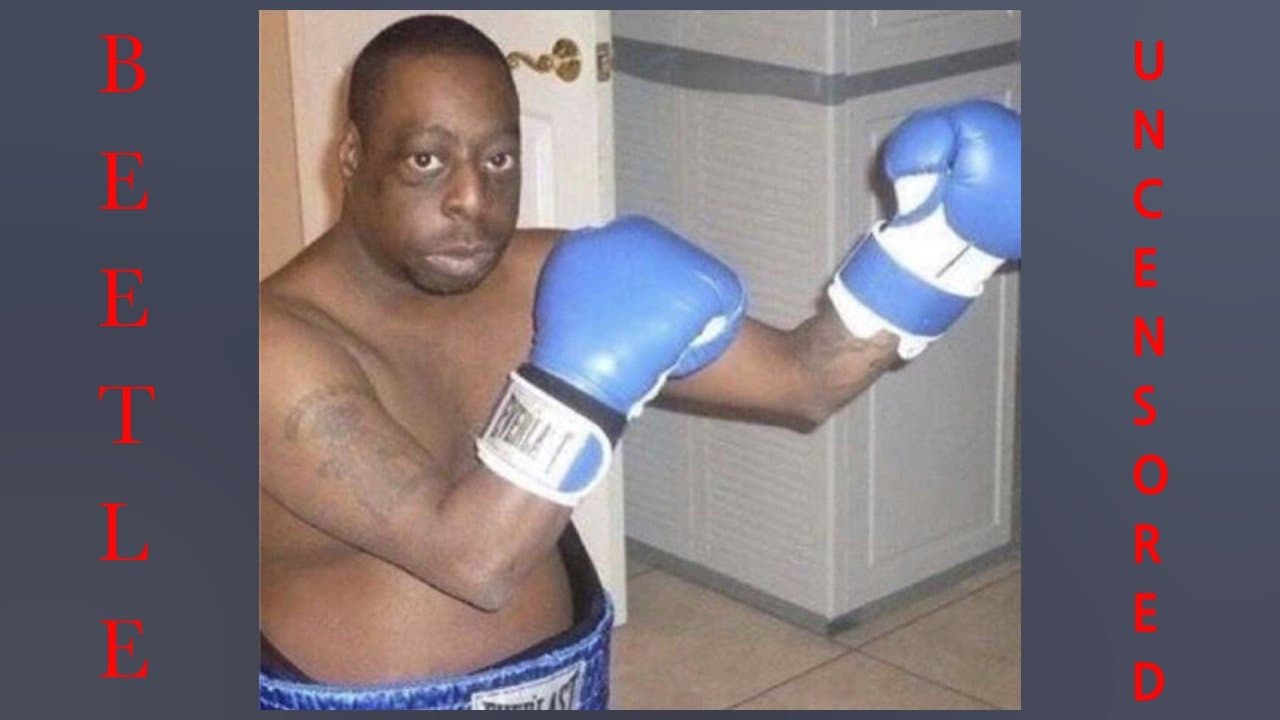 Beetle Uncensoredの背景画像