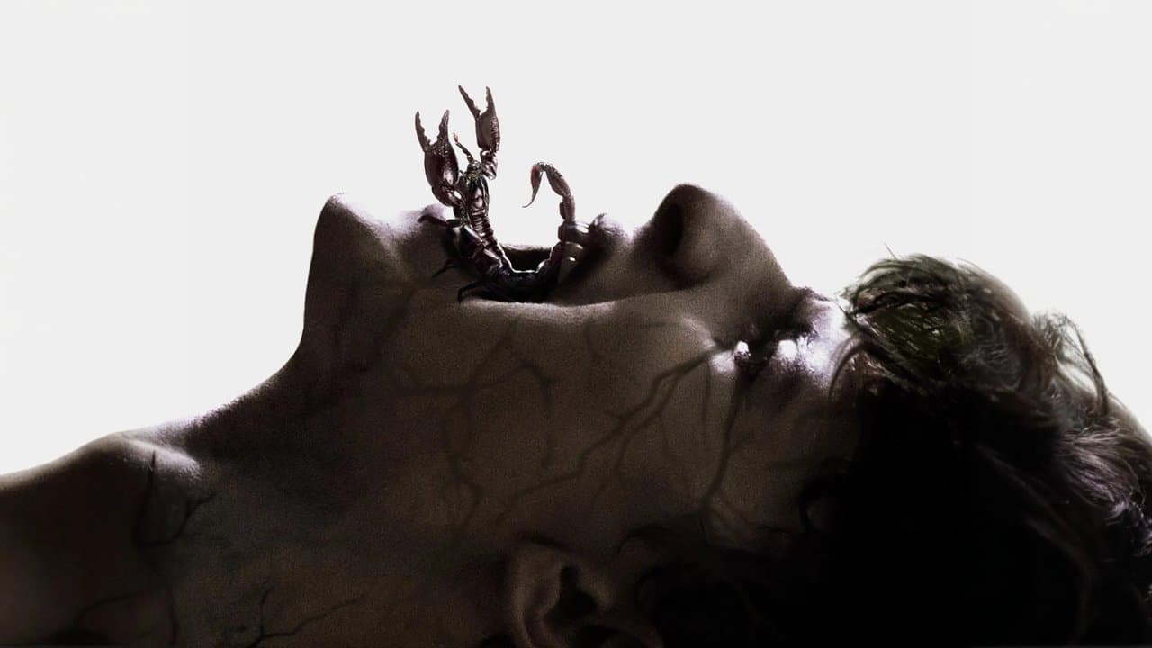 Shamanの背景画像