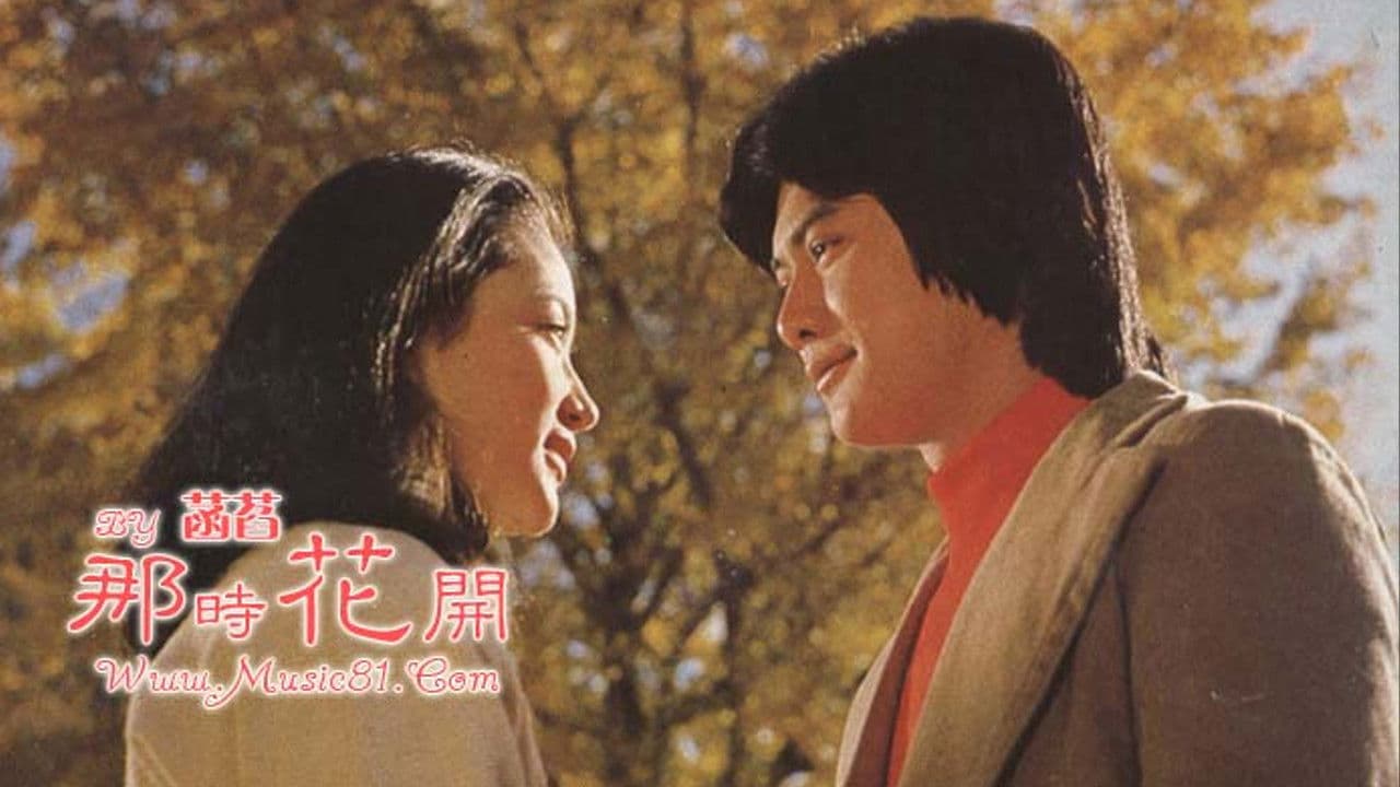 楓葉情の背景画像